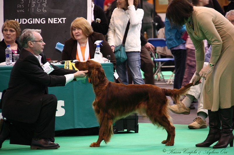 Crufts2011 424.jpg